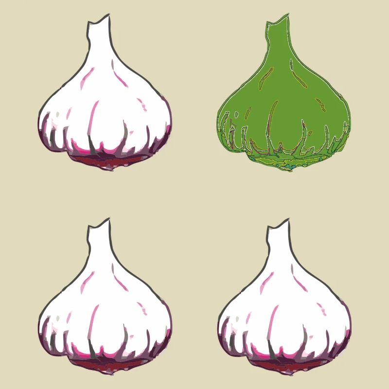 knoblauch 4er