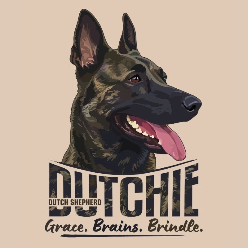Dutchie - Holländischer Schäferhund