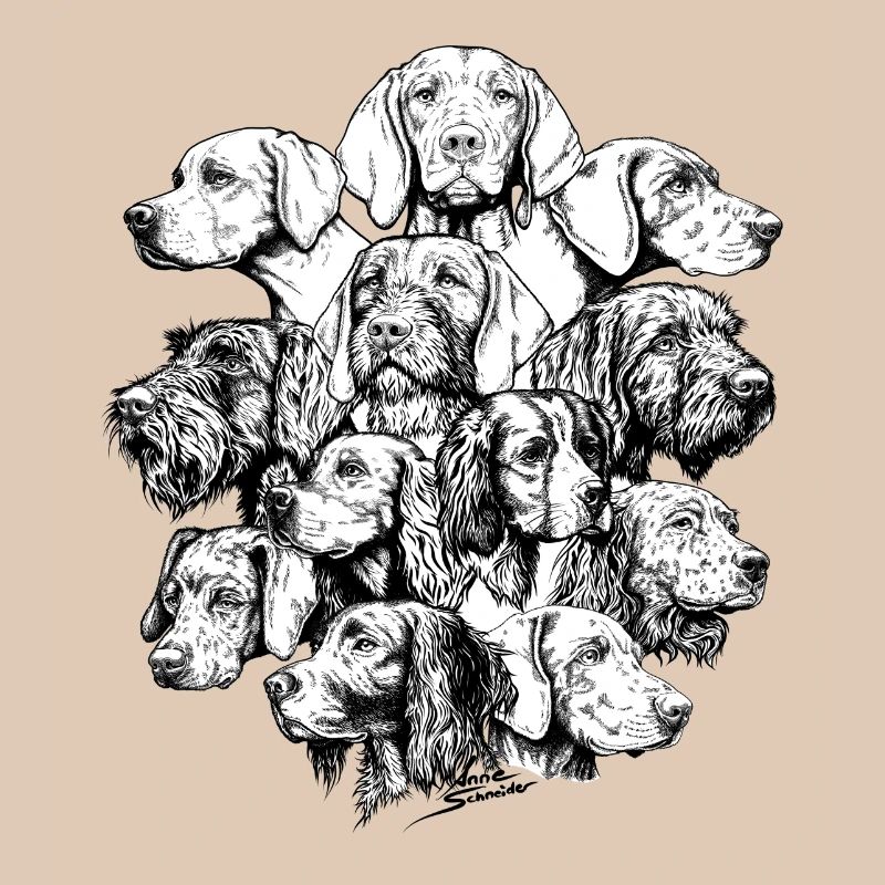 Wimmelbild Vorstehhunde