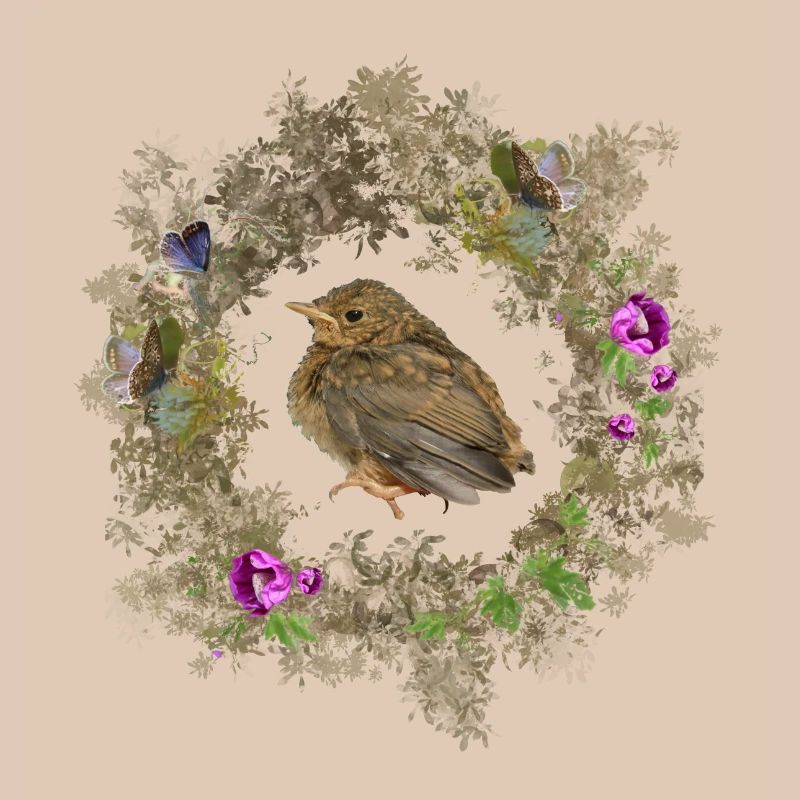 Rotkehlchen mit zarten Blüten und Bläulingen