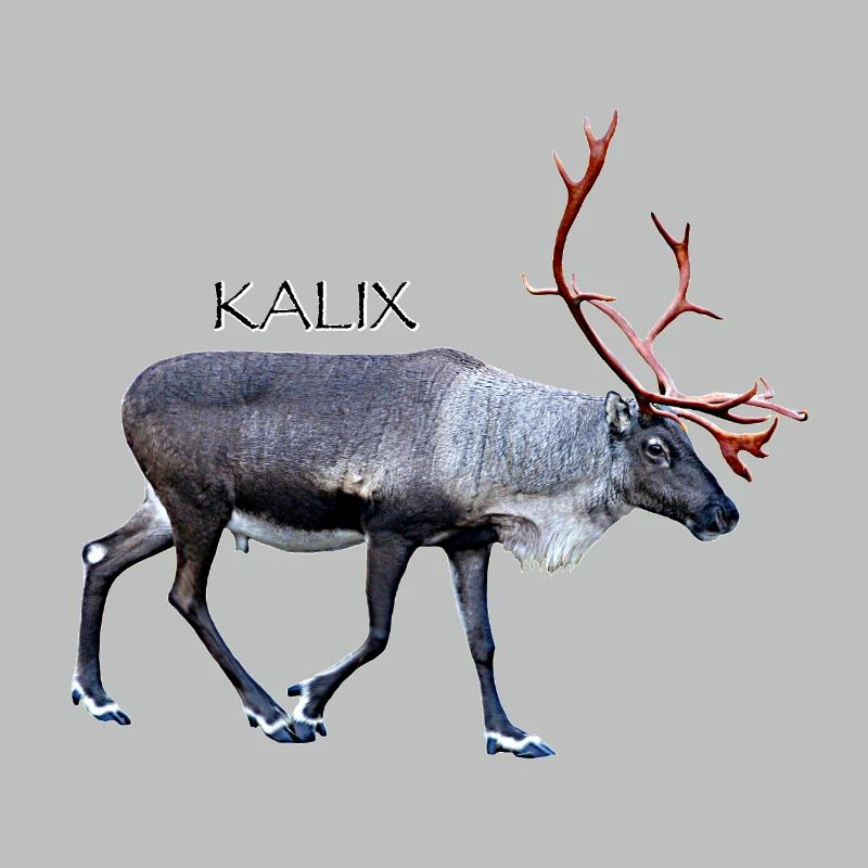 KALIX