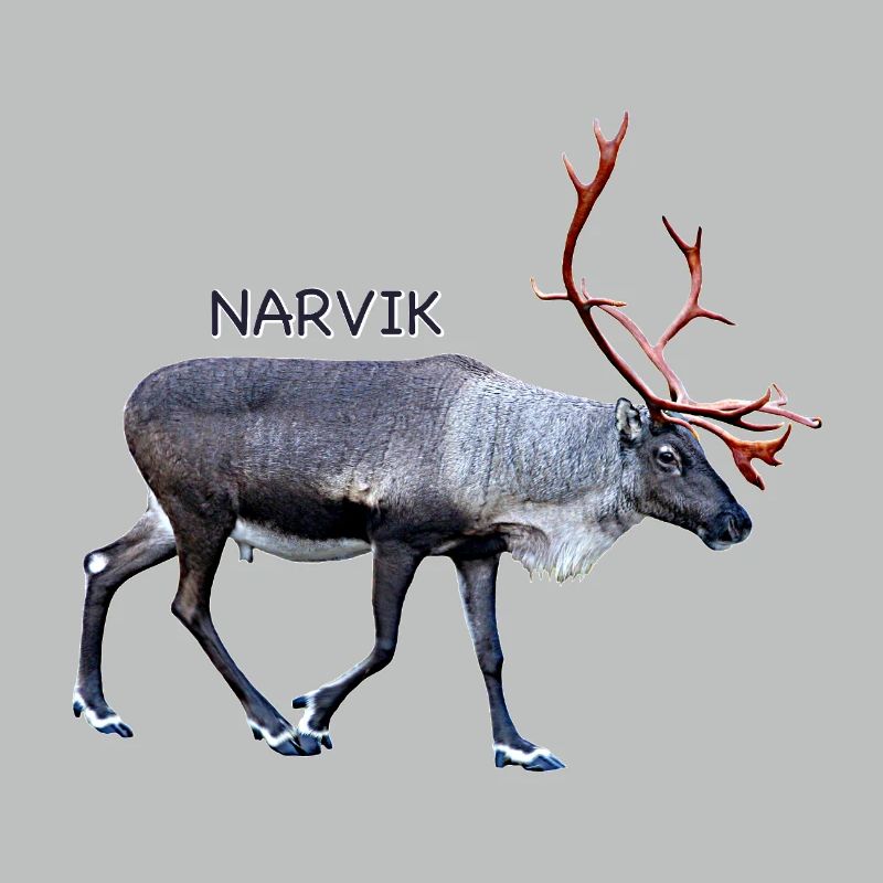NARVIK