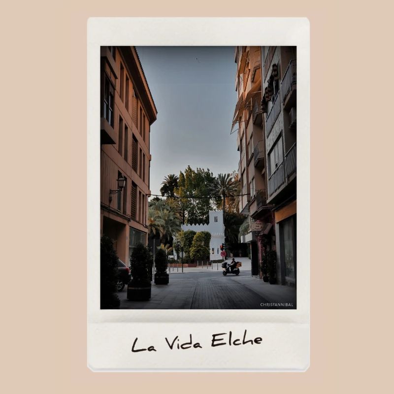 Leben Elche