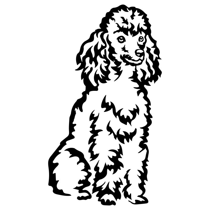 Poodle