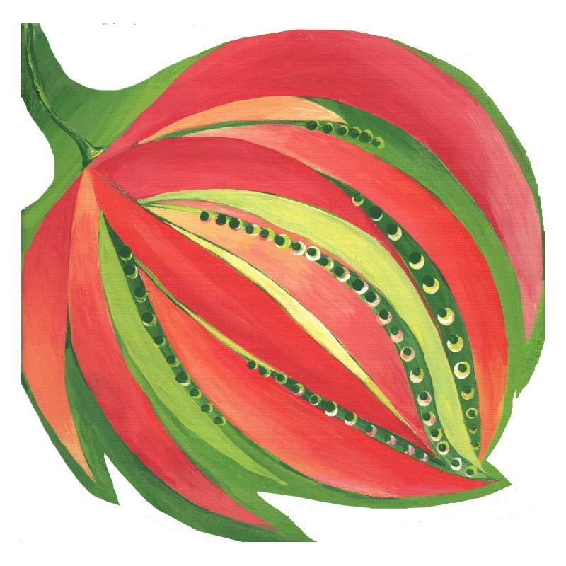 Blume