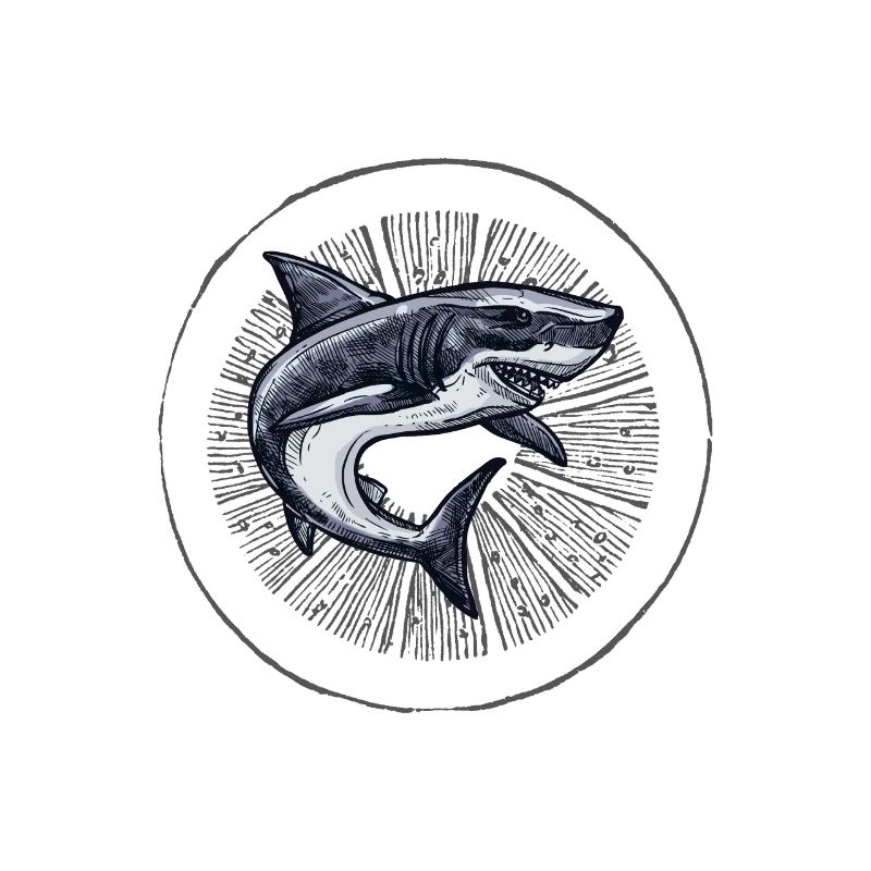 Dancing Shark