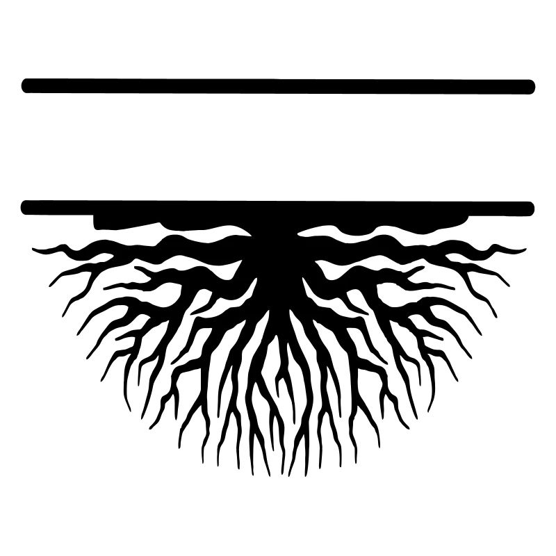Tree roots