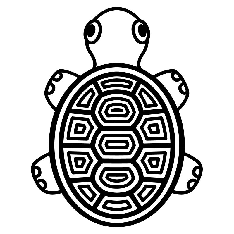 Cute Baby Turtle – Comic Reptile for the Heart