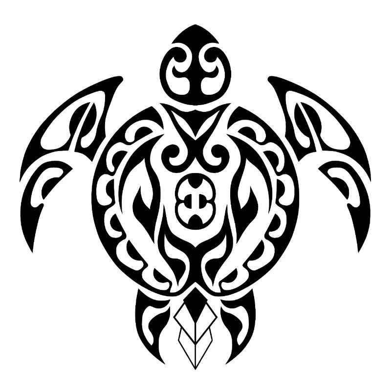 Turtle-3-Black