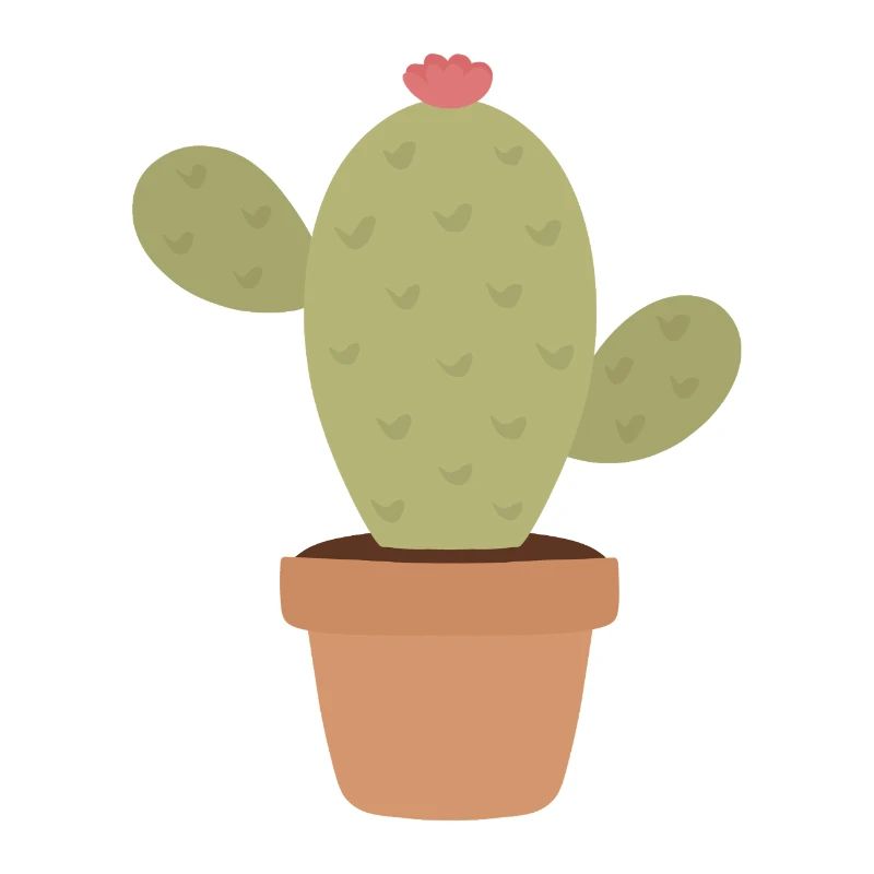Charme de cactus dans le pot Pop minimal