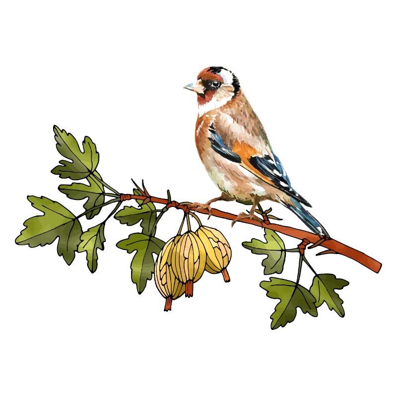 Bunter Vogel