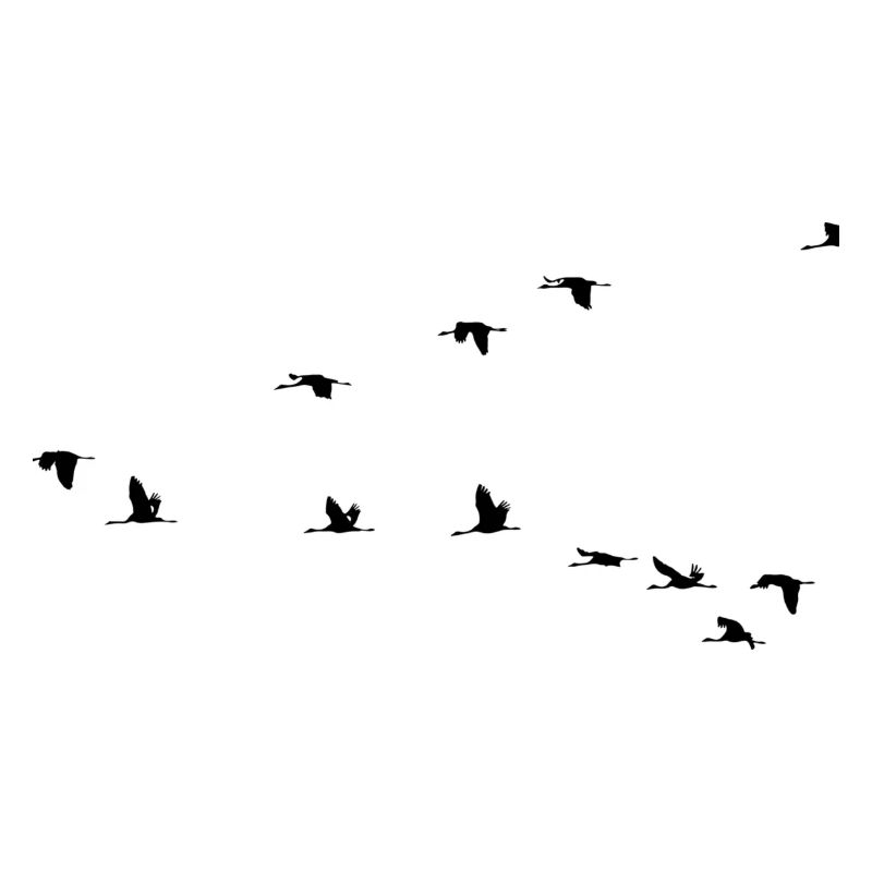 Vögel