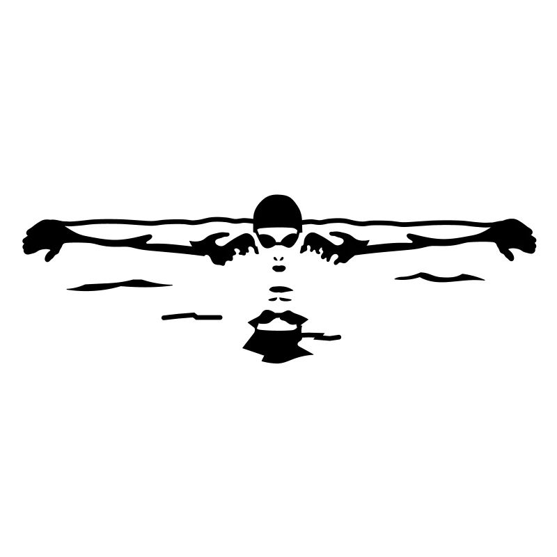 schwimmer_1