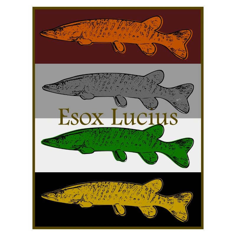 Conception de brochet coloré