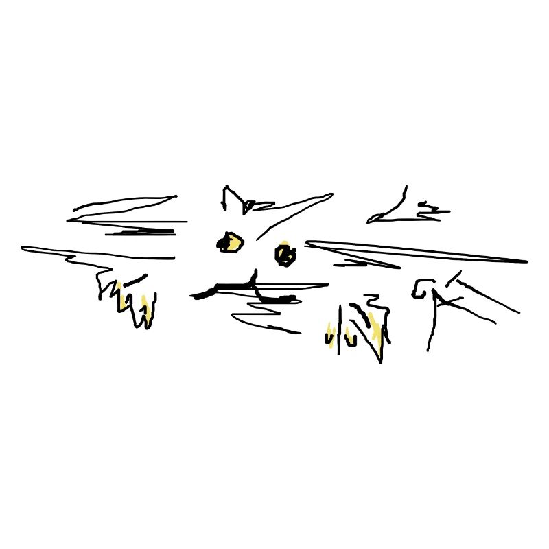 Katze cat