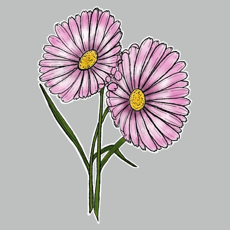 Gänseblümchen