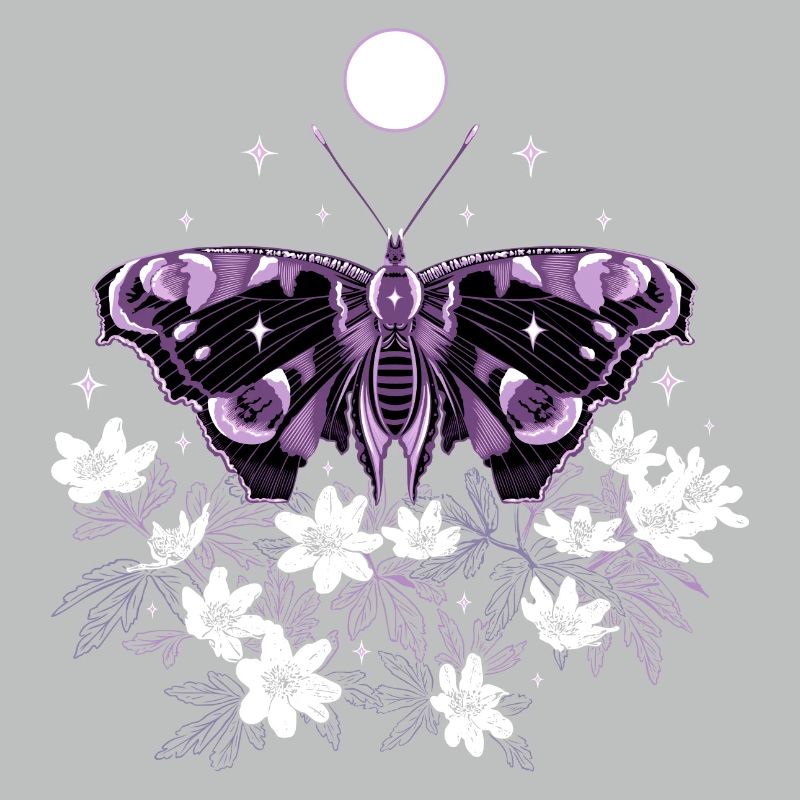 Moth Moth avec des anémones de brousse