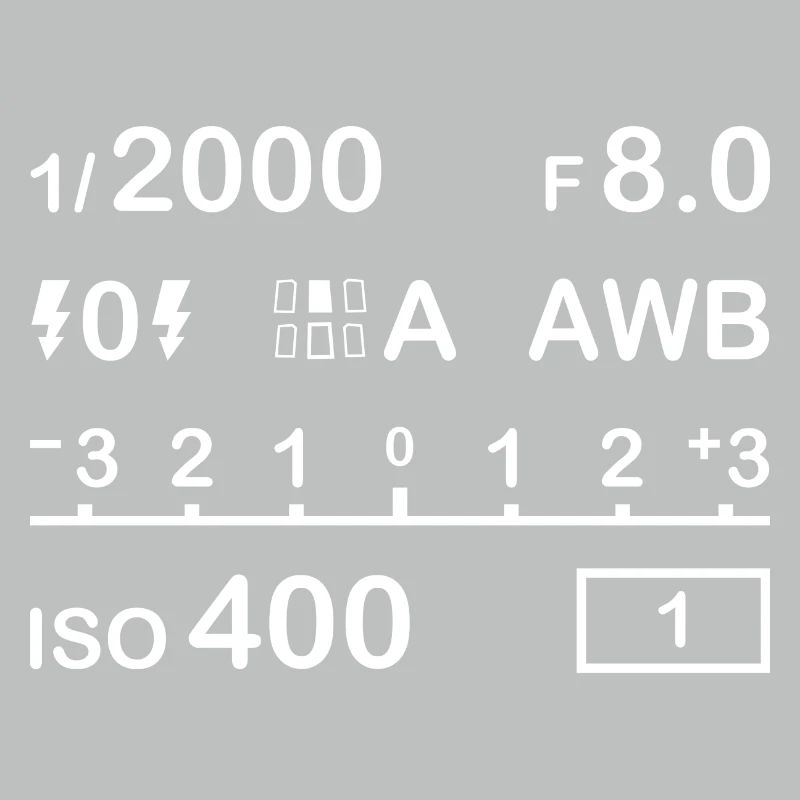 Digital Camera Settings