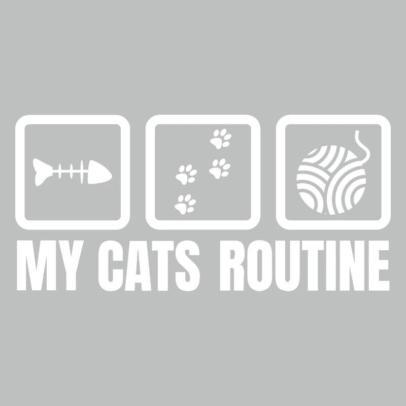 My cat's routine