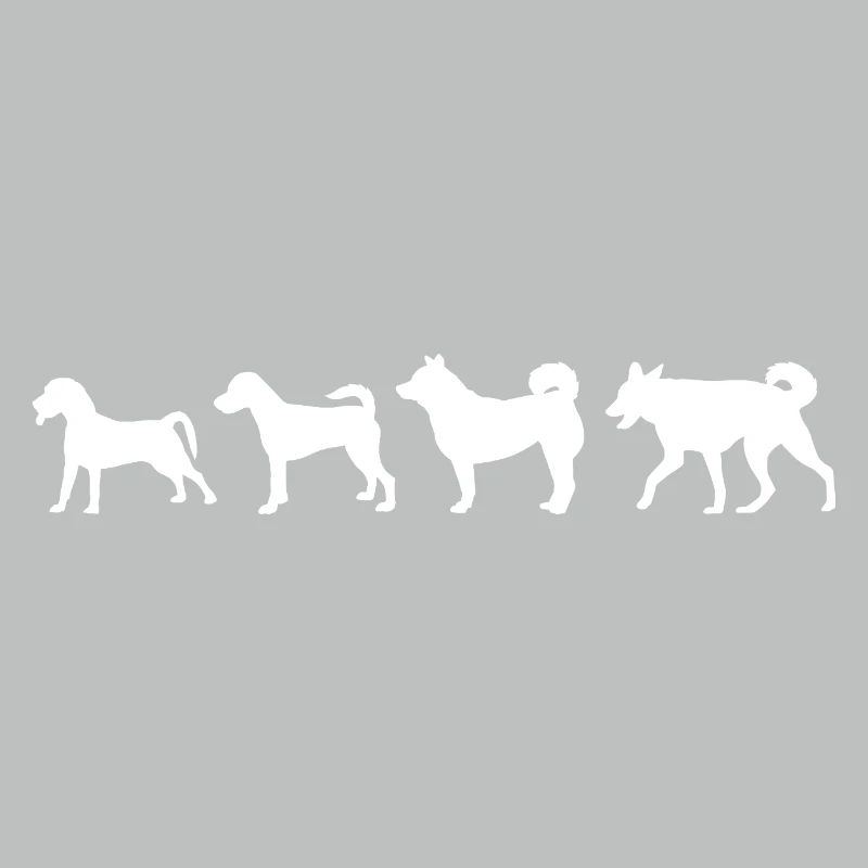 Hund Evolution
