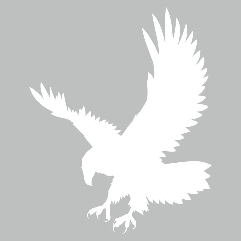 An eagle chasing its prey