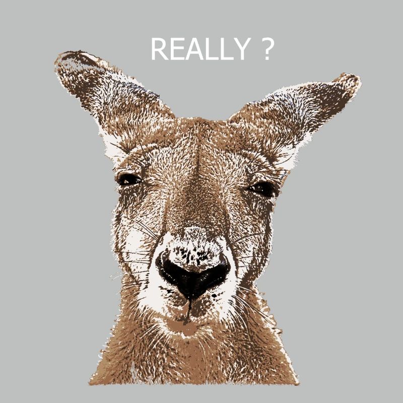 Kangaroo really?
