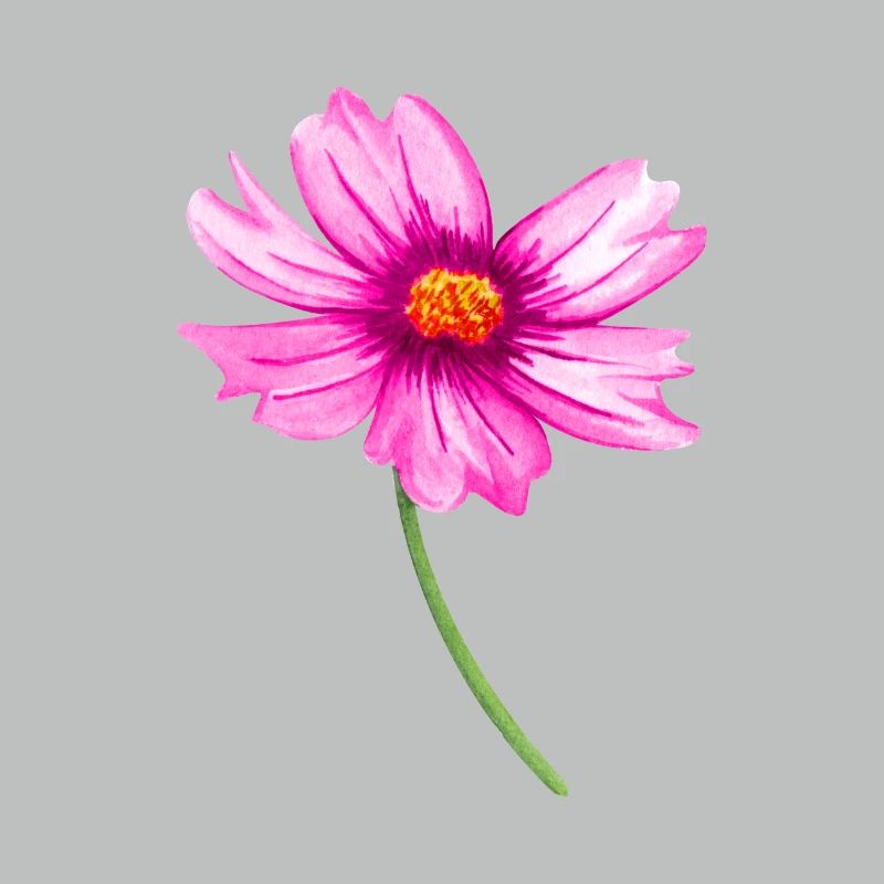 Blume