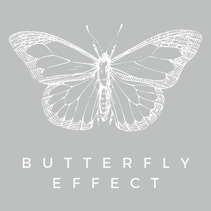 Butterfly Effect Chaos Theory Deep Thinker