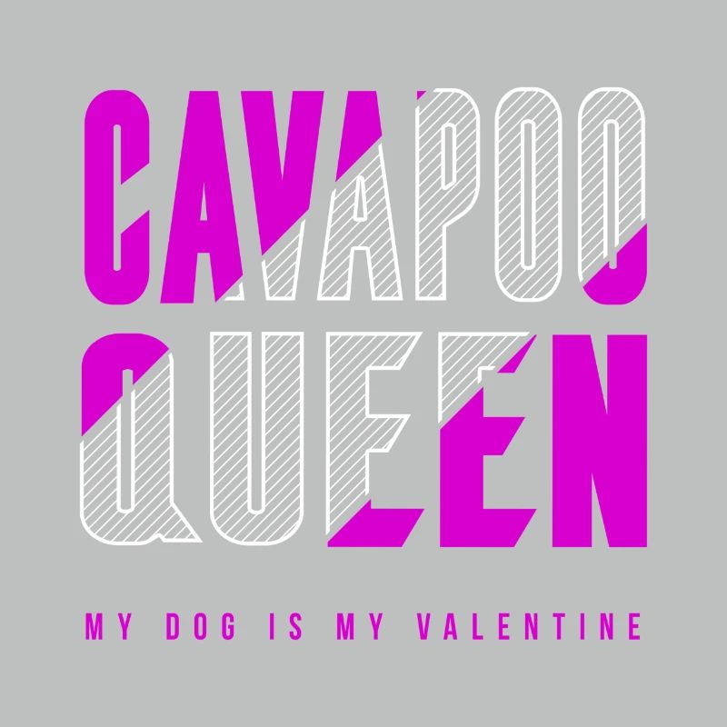 Cavapoo Königin