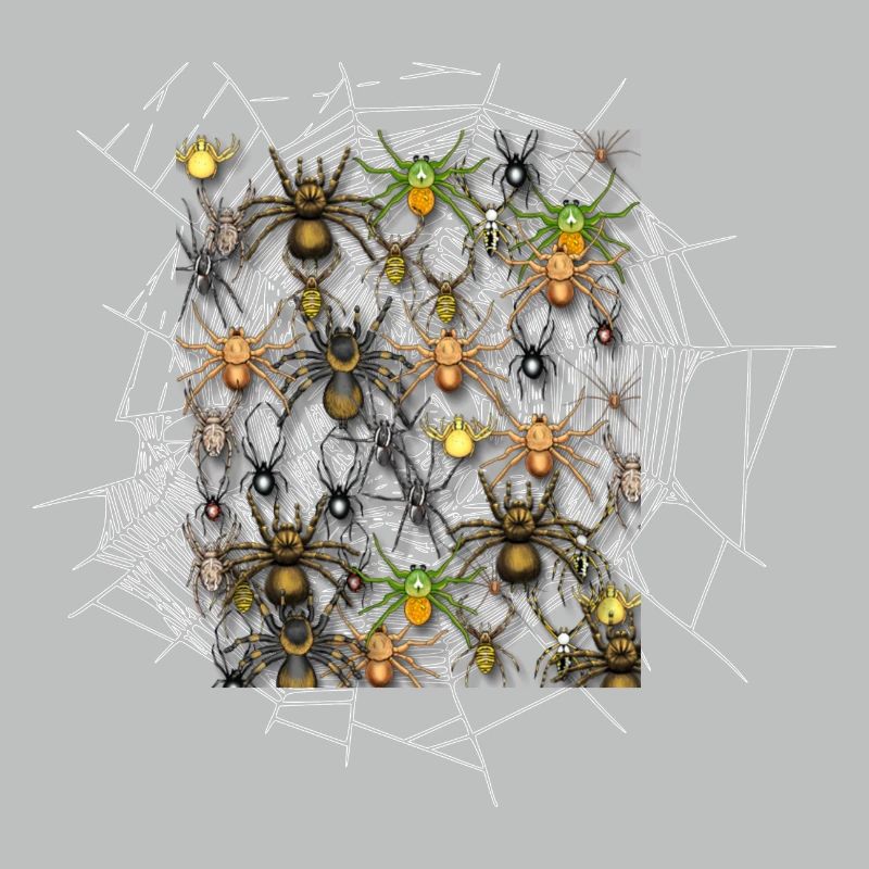 Araignée