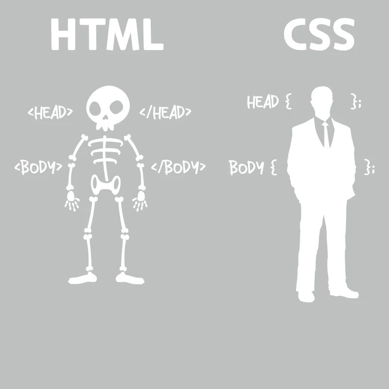 Code Css C++ Php Java Developer Code Scripting