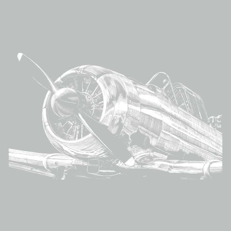 Flugzeug