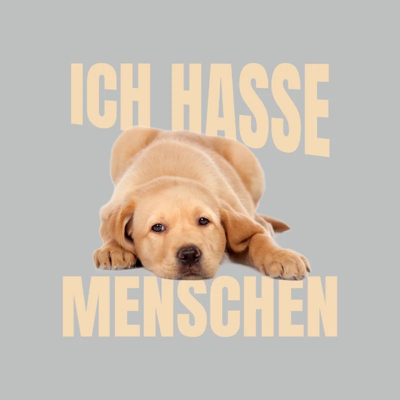 Labrador Meme