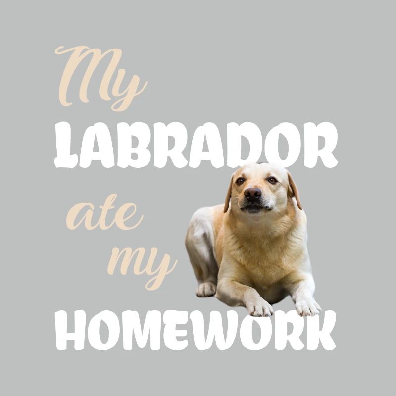Labrador Homework