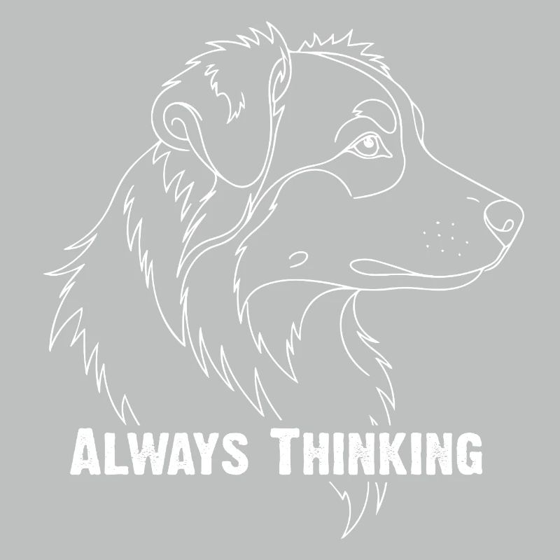Australian Shepherd Always Thinking
