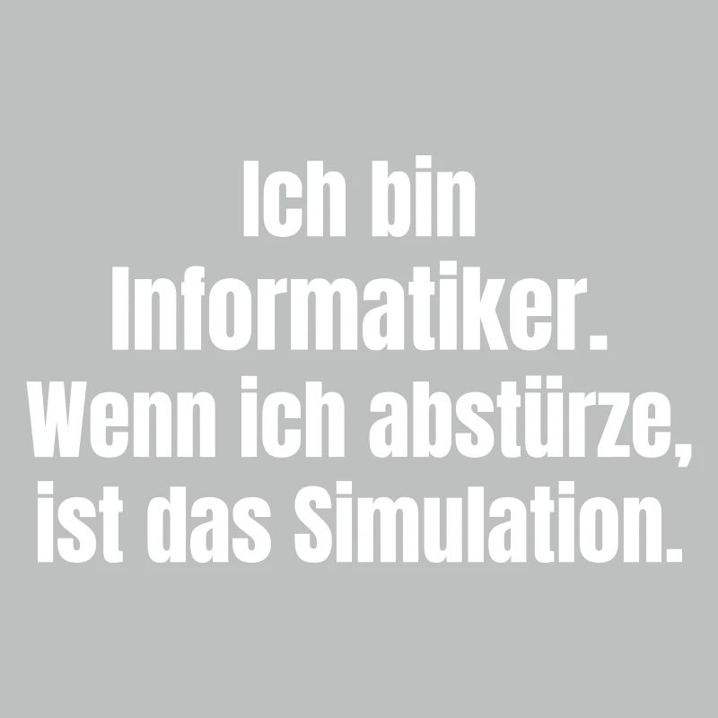 Ich bin Informatiker – Absturz als Simulation