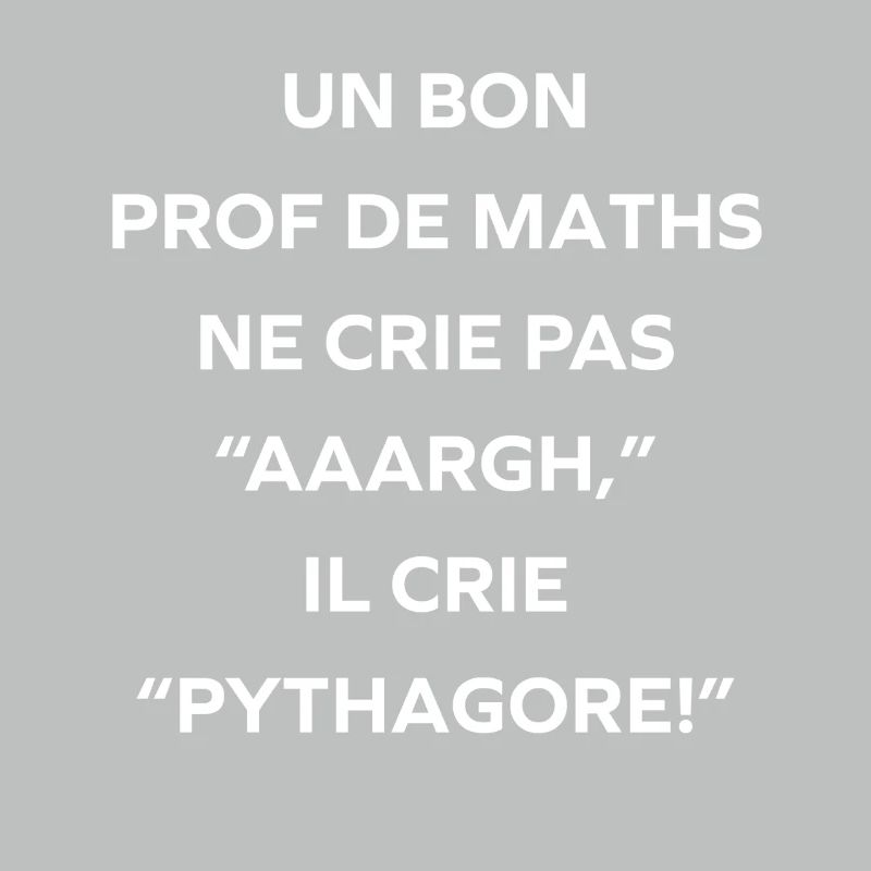 Prof de maths crie Pythagore