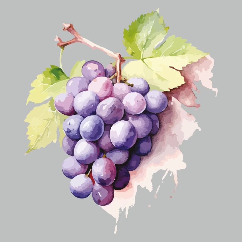 Grappe d’aquarelle de raisins