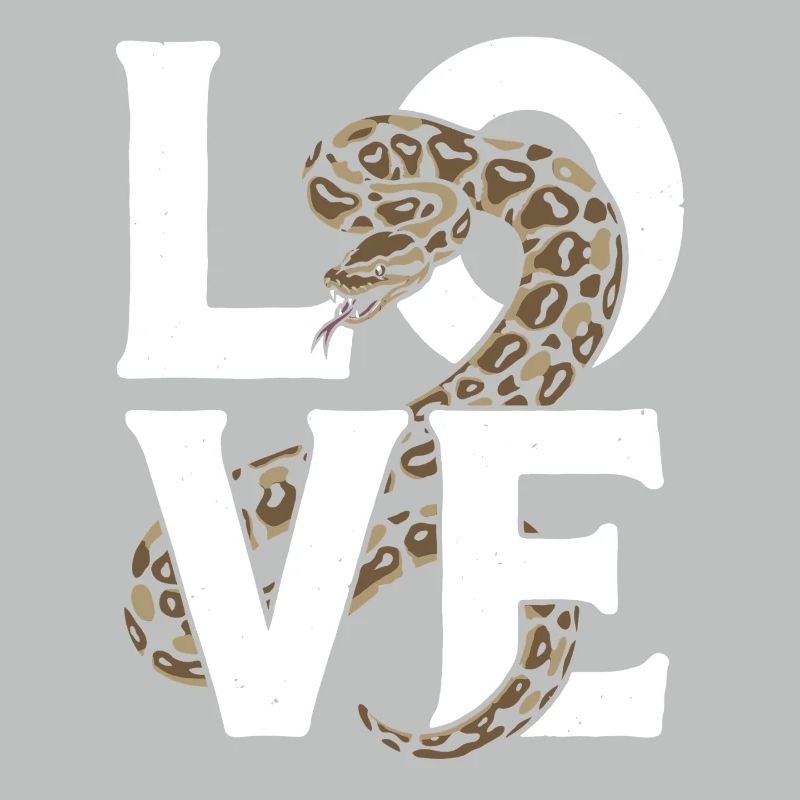 Königspython Schlangen LOVE Terrarium Python