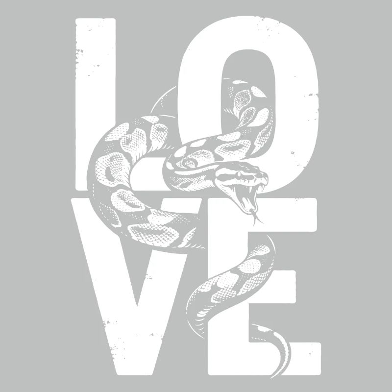 Les serpents rois Python ADORENT les pythons de terrarium