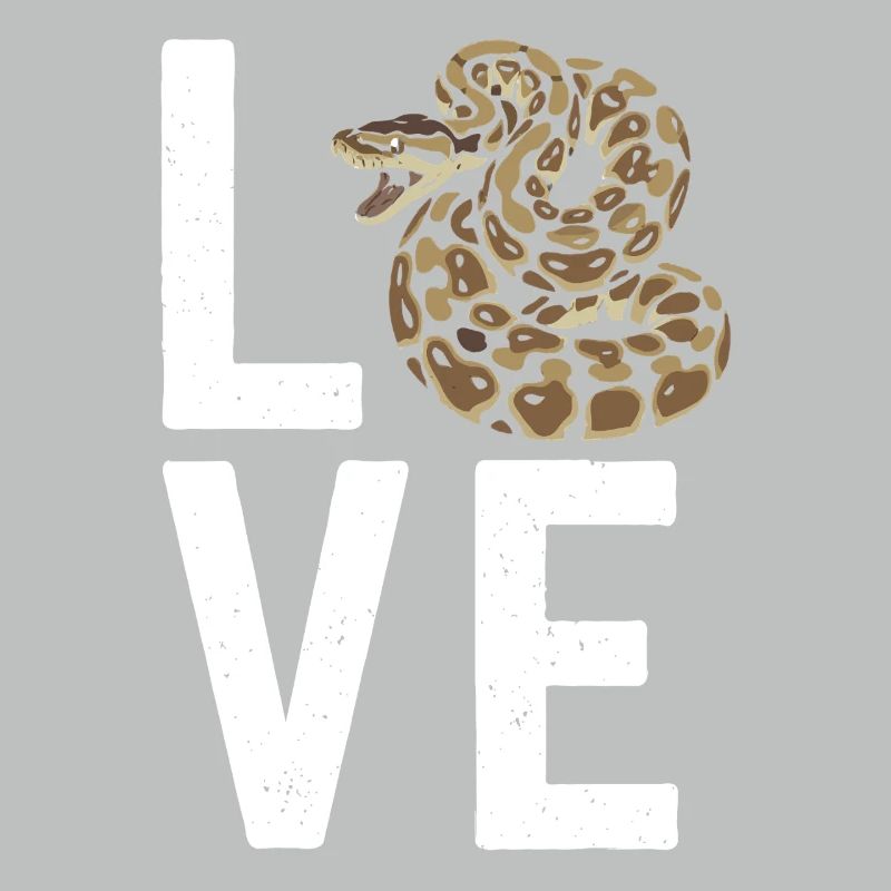 Les serpents rois Python ADORENT les pythons de terrarium