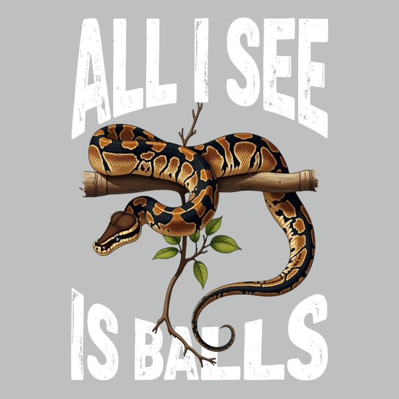 Python roi Serpents Amateurs de terrarium Python