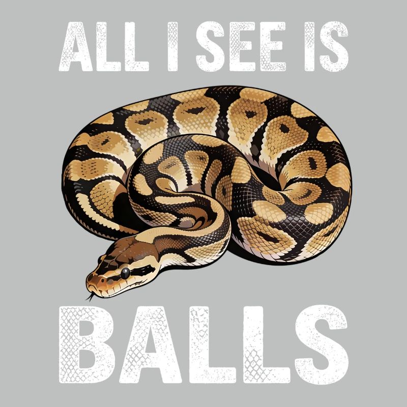 Python roi Serpents Amateurs de terrarium Python