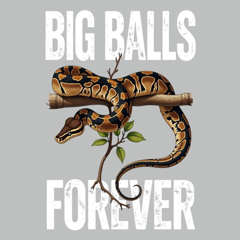 King Python Snakes Lover Terrarium Python