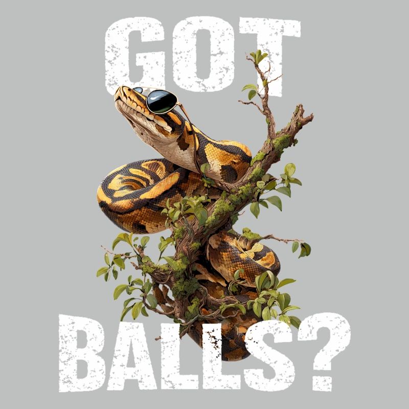 Python roi Serpents Amateurs de terrarium Python