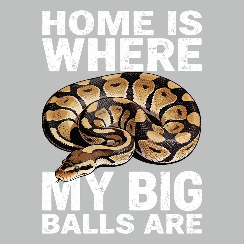 Python roi Serpents Amateurs de terrarium Python