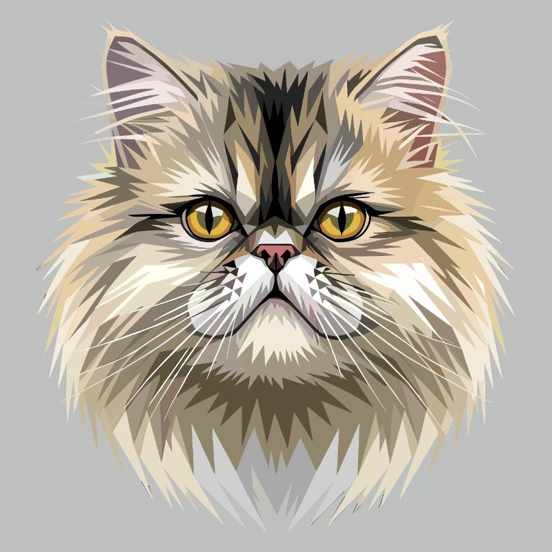 Chat perse Chat persan Chat persan Chat perse Chats mignons
