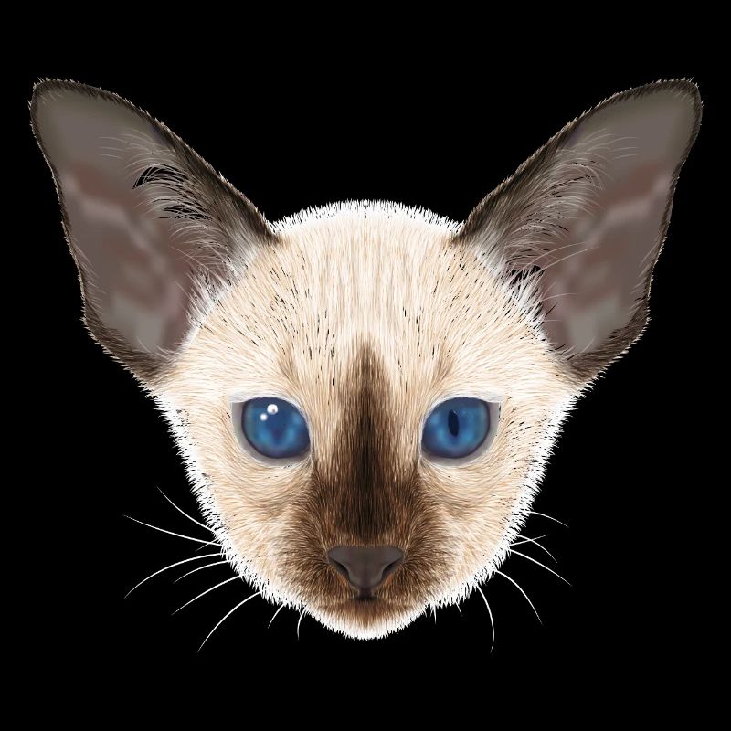 Siamkatze 