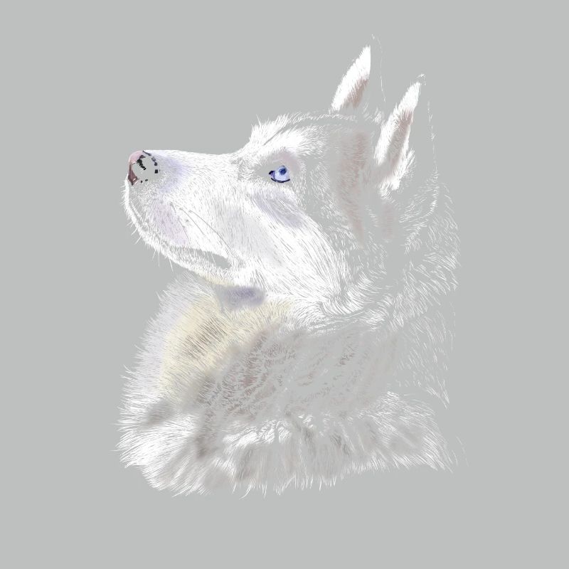 Husky