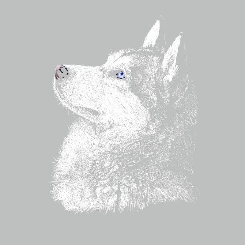 Husky